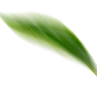 shape icon