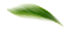 shape icon