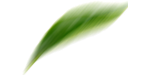 shape-icon
